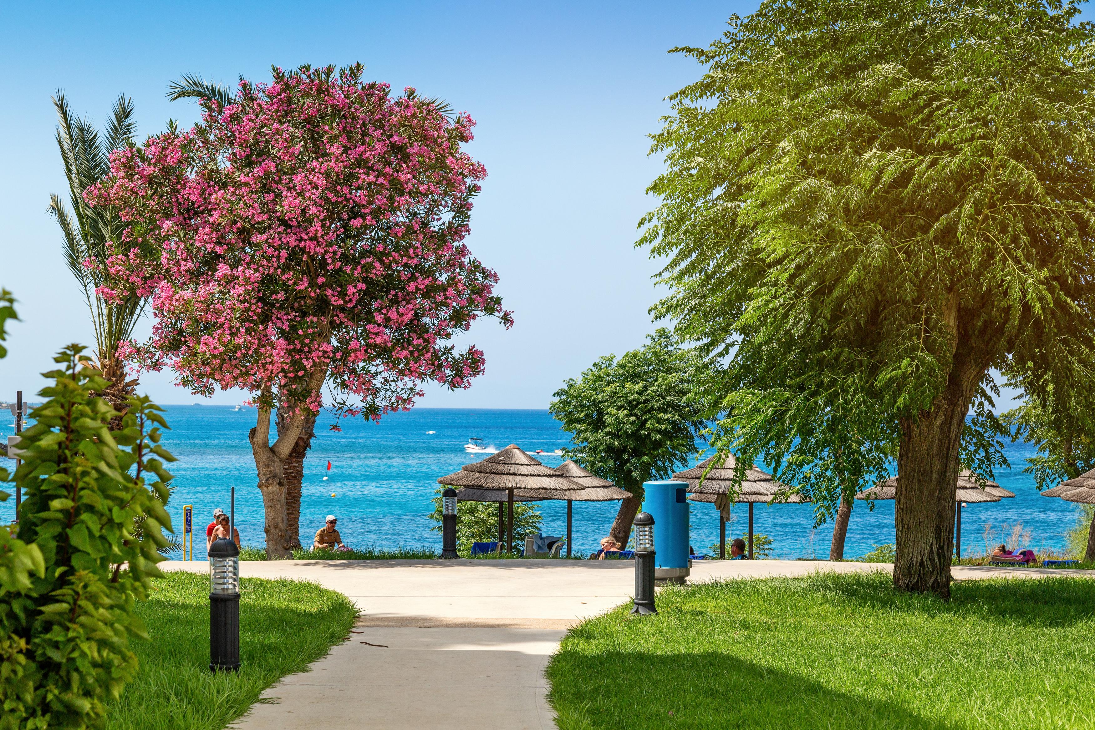 Nausicaa Beach 普罗塔拉斯 外观 照片